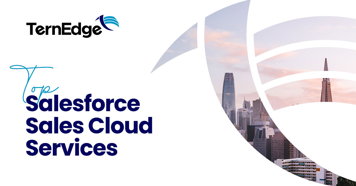 Best Salesforce Sales Cloud Service Providers | TernEdge