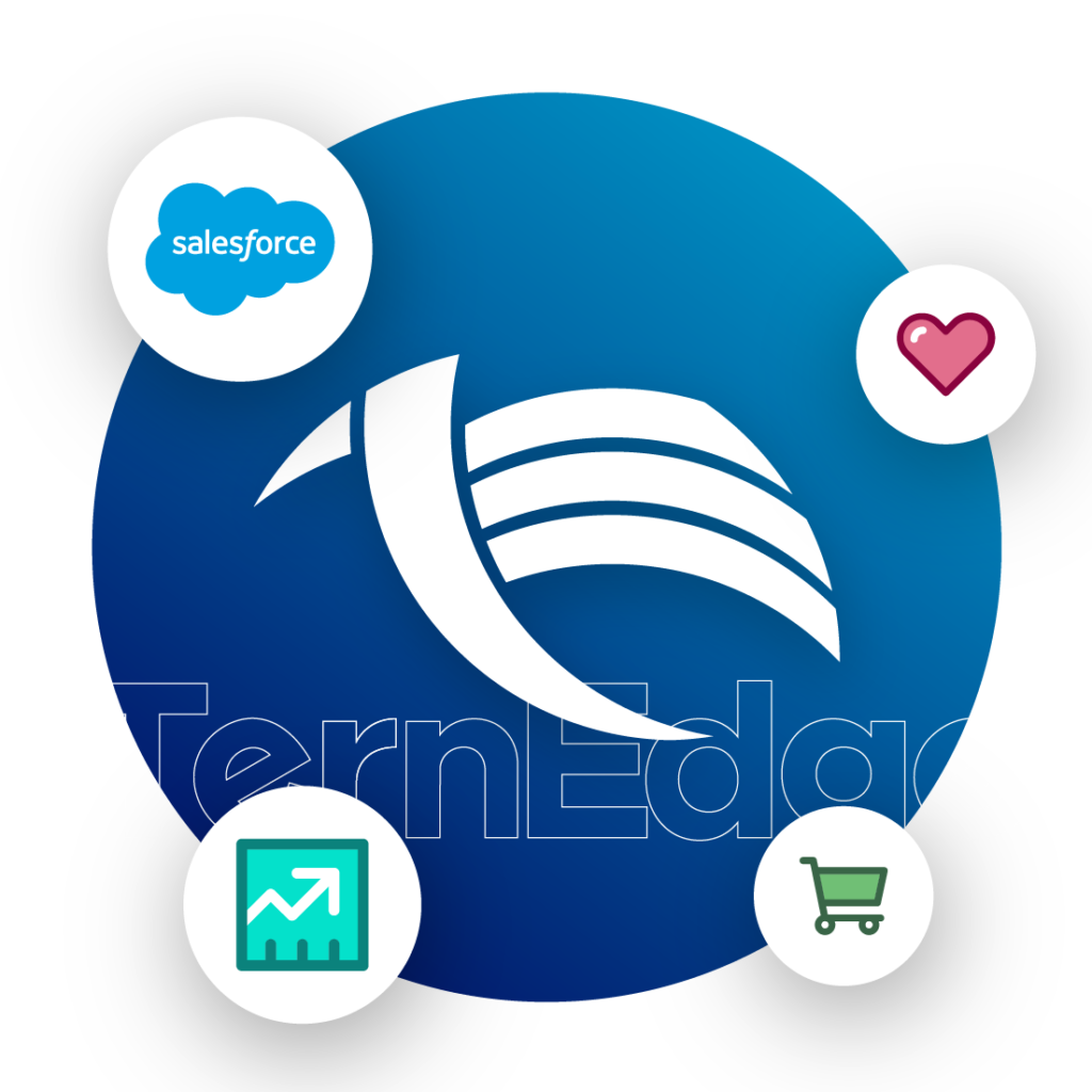 ternedge-salesforce-cnsulting-company